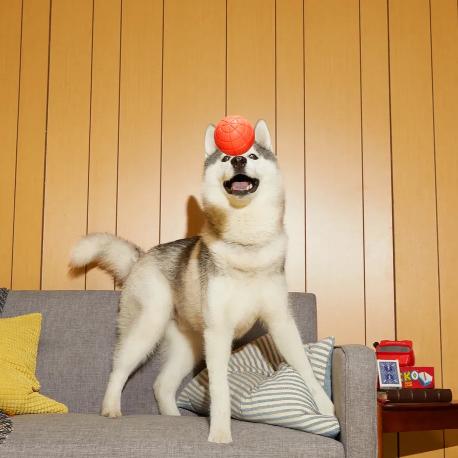 Snacks   Jacks Ball