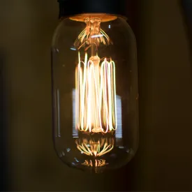 T45 Vintage Edison Light Bulbs